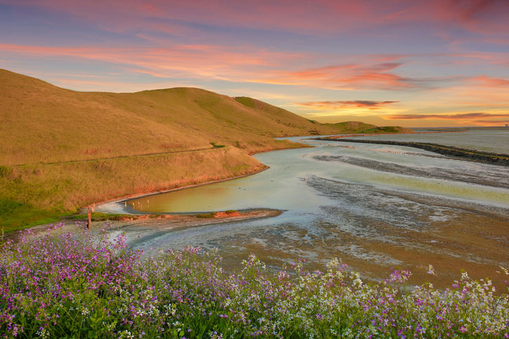 sunset over coyote hills regional park